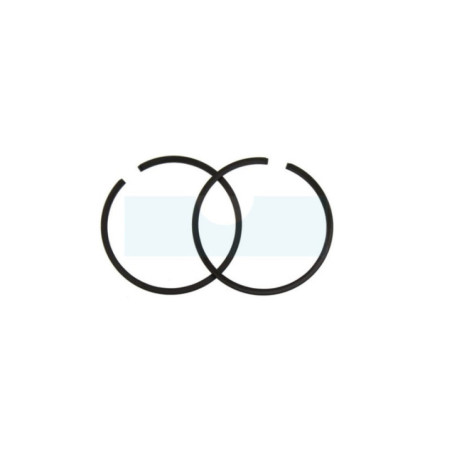 Segment pour tronçonneuse Echo (10001113330)