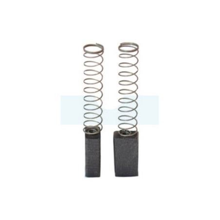 Jeu de 2 charbons pour Bosch (NCE019919/ 2604321925)