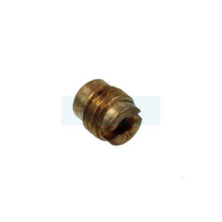 Gicleur 0,45mm pour tronçonneuse Stihl (11301215604)