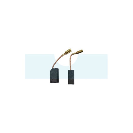 Jeu de 2 charbons pour Flex (NCE1638X)