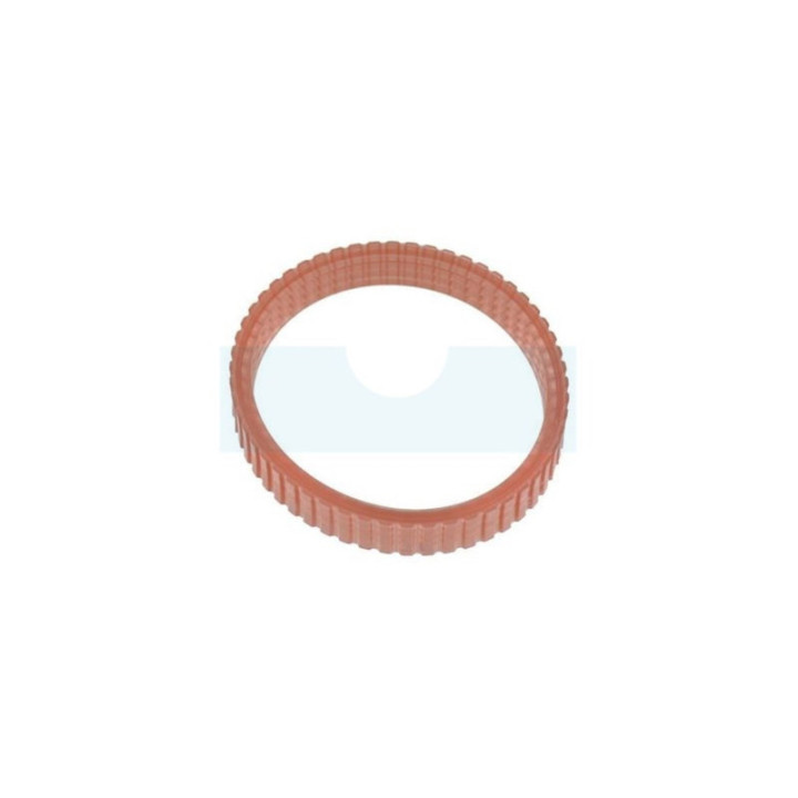 Courroie pour robots Ryobi (NCE346081)