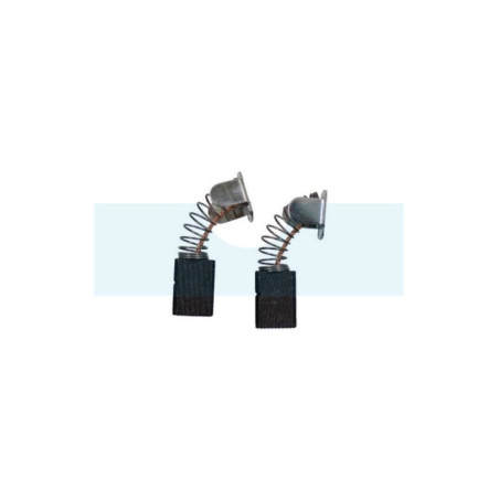 Jeu de 2 charbons pour Ryobi (NCE0867)