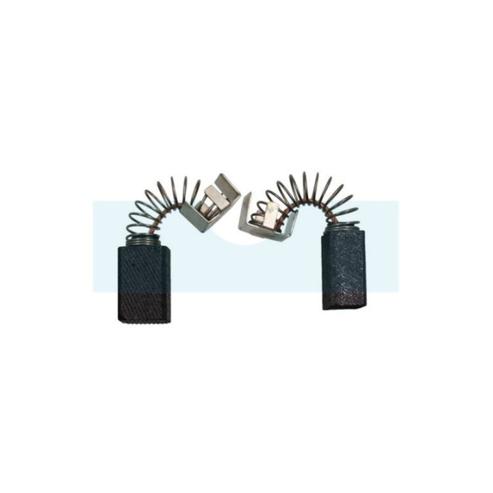 Jeu de 2 charbons pour taille-haie Ryobi (NCE0870)