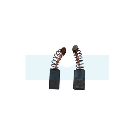Jeu de 2 charbons pour Bosch (NCE0157)