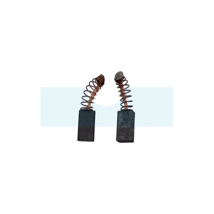 Jeu de 2 charbons pour Bosch (NCE0157)