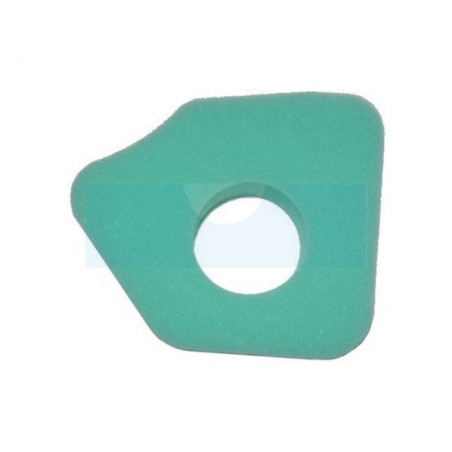 Filtre à air pour moteur Briggs & Stratton (794071)