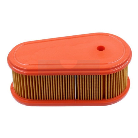 Filtre à air pour moteur Briggs & Stratton (795066)