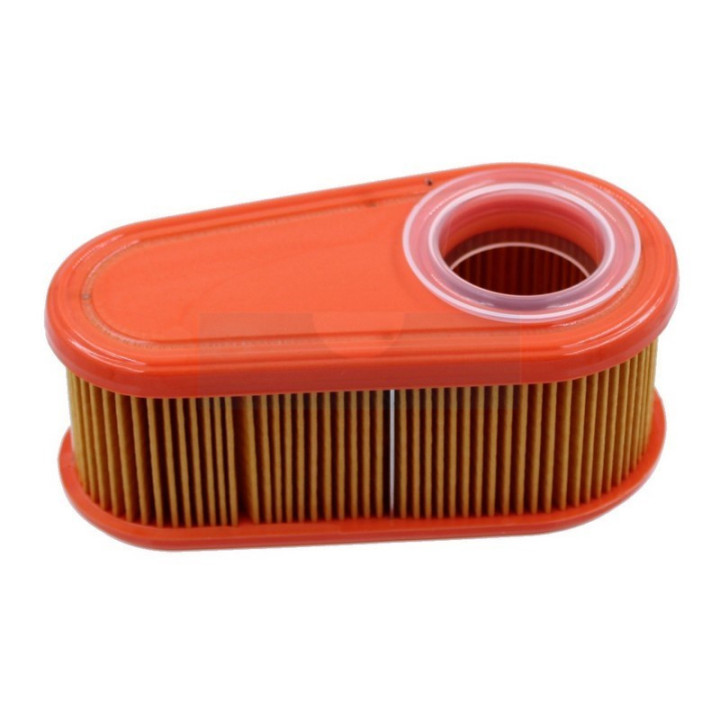 Filtre à air pour moteur Briggs & Stratton (795066)