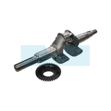 Vilebrequin pour moteur Honda (06131Z8AW00)