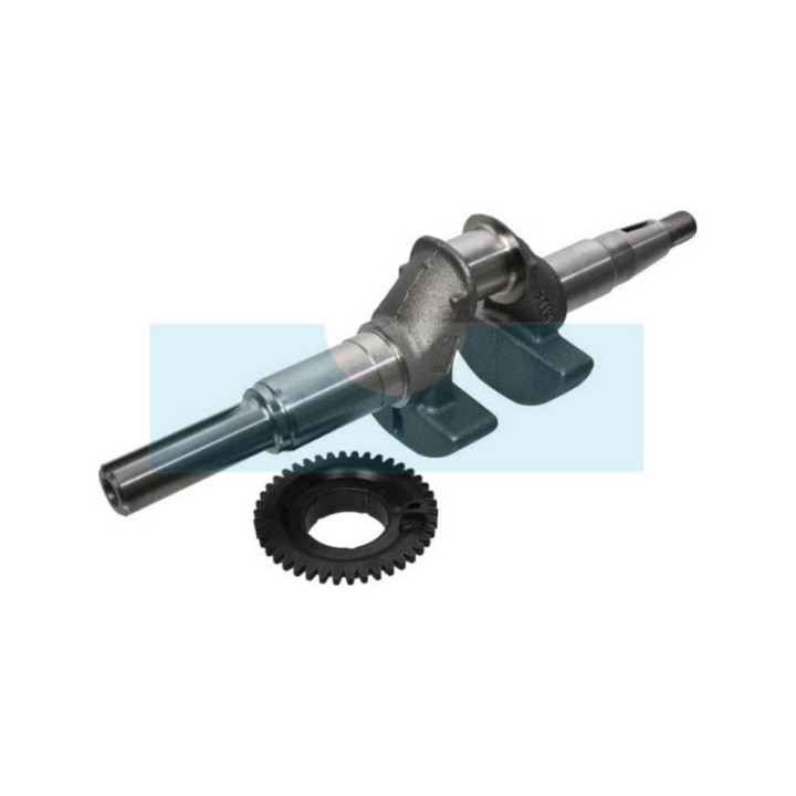 Vilebrequin pour moteur Honda (06131Z8AW00)