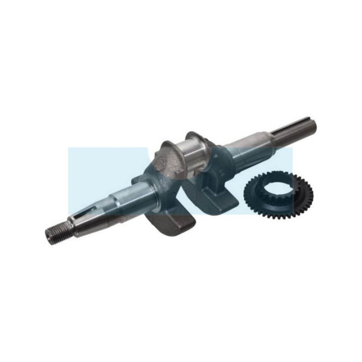 Vilebrequin pour moteur Honda (06131Z8AW00)
