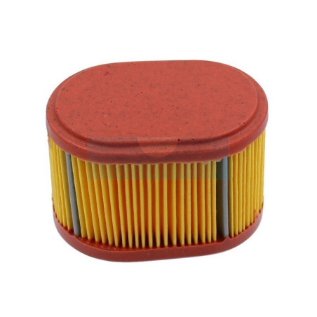 Filtre à air pour moteur Briggs & Stratton (790166)