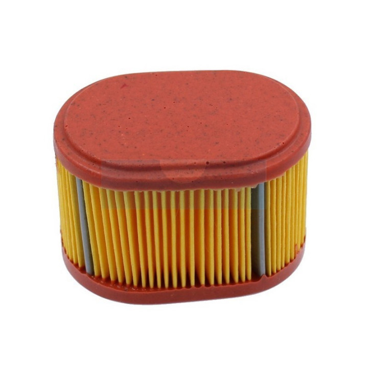 Filtre à air pour moteur Briggs & Stratton (790166)