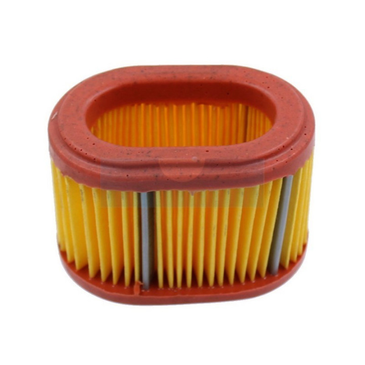 Filtre à air pour moteur Briggs & Stratton (790166)