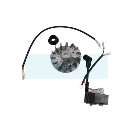 Kit bobine + volant d'allumage pour taille-haie Mountfield (123044016/0)