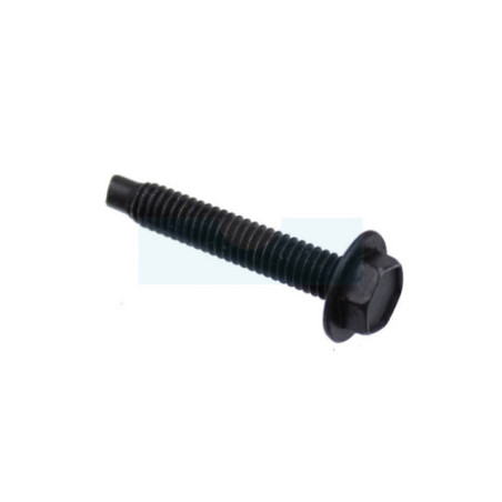 Vis de bobine d'allumage pour moteur Briggs & Stratton (691061)