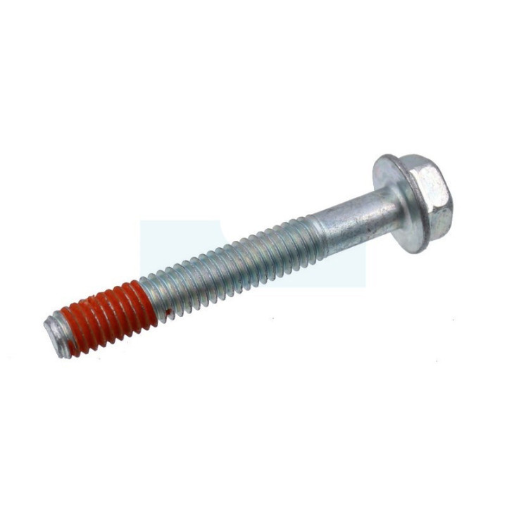 Vis pour moteur Briggs & Stratton (692125)