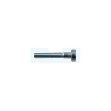 Vis pour taille-haie Echo (V805000050)