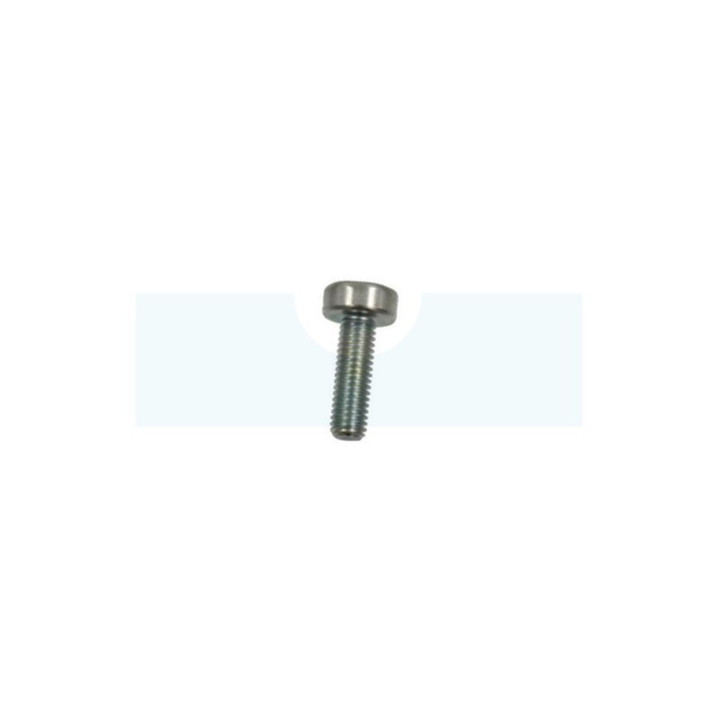 Vis de carter pour tronçonneuse / débroussailleuse / taille-haie / moteur / souffleur Echo (V805000150)