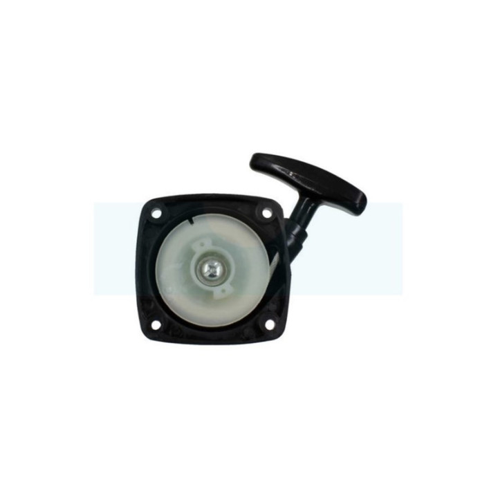 Lanceur pour moteur Alpina (69811611)