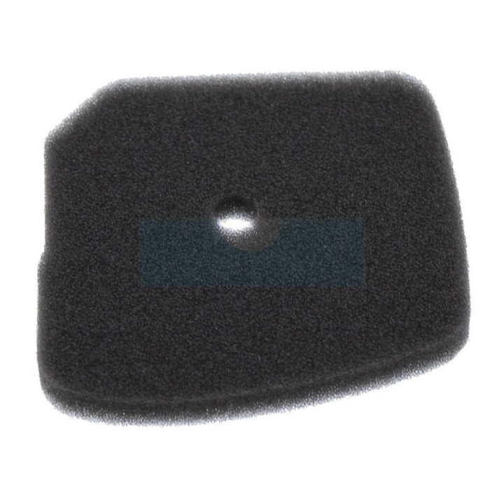 Filtre à air pour moteur Kawasaki (110132242)