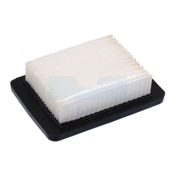 Filtre à air pour moteur Kawasaki (110132240)