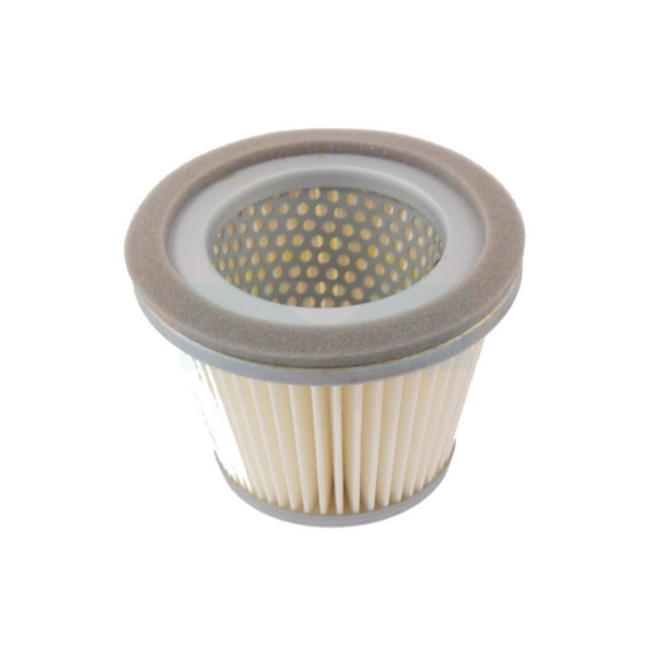 Filtre à air pour moteur Kawasaki (490642077)