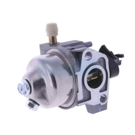Carburateur pour moteur Castelgarden / GGP / Stiga (118551121/1)