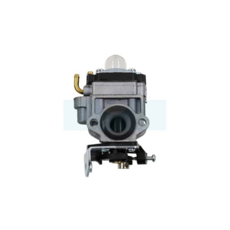 Carburateur pour taille-haie Castelgarden / GGP (123054036/0)