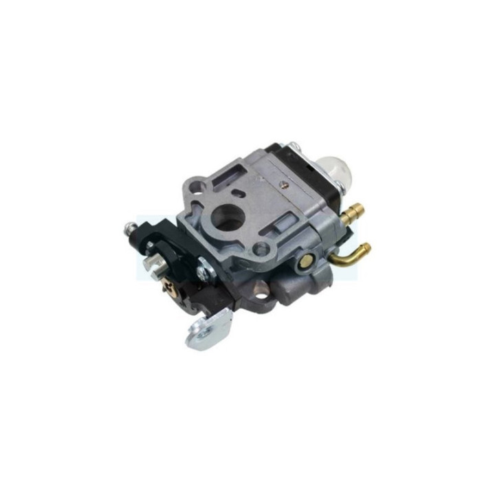 Carburateur pour taille-haie Castelgarden / GGP (123054036/0)
