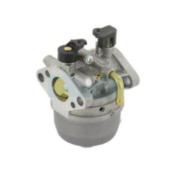 Carburateur pour moteur Kawasaki (150032782)