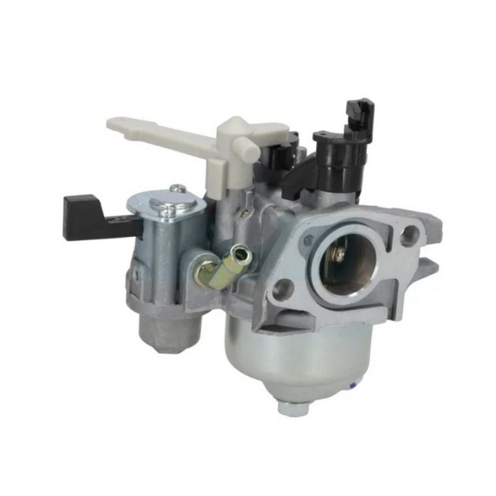 Carburateur pour moteur Briggs & Stratton (595649)