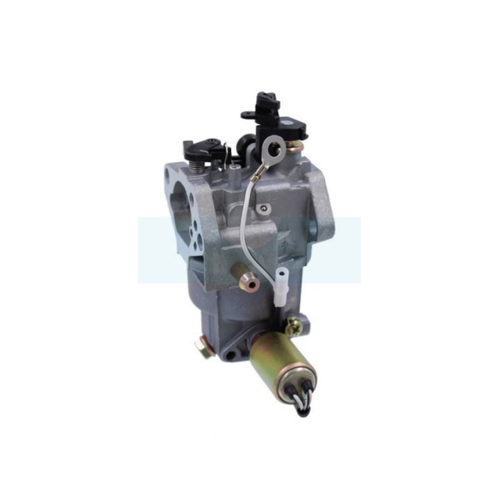 Carburateur pour moteur MTD (751-05149)