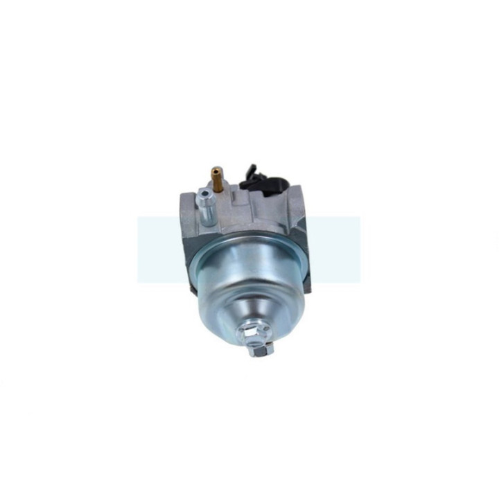 Carburateur pour moteur MTD (751-10881)