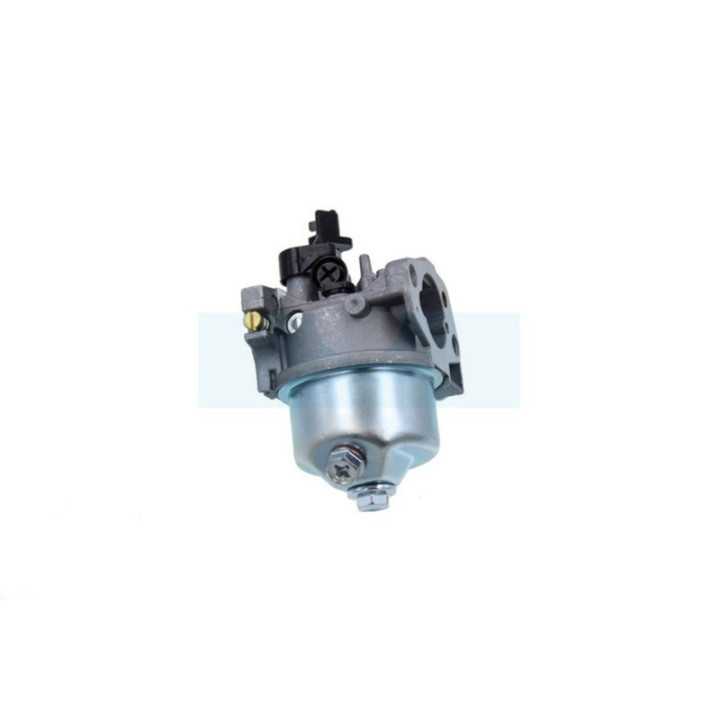 Carburateur pour moteur MTD (751-10881)