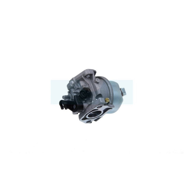 Carburateur pour moteur MTD (751-10881)