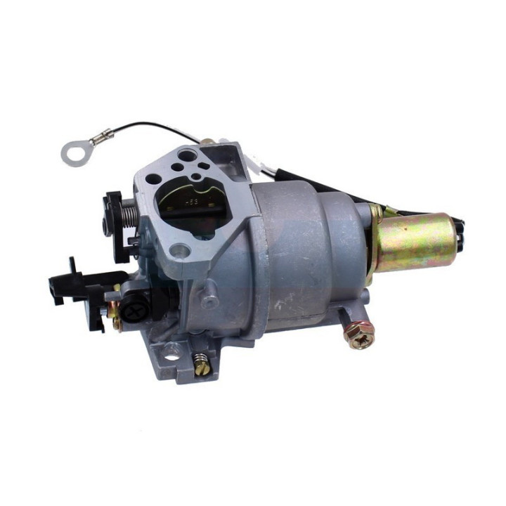 Carburateur pour moteur MTD (751-12771)