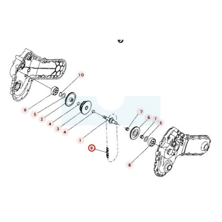 Chaîne de transmission pour motobineuse Sarp (2010081)