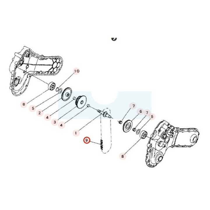 Chaîne de transmission pour motobineuse Sarp (2010081)