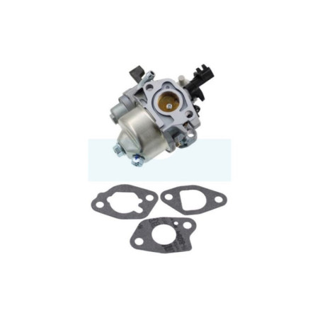 Carburateur pour moteur Briggs & Stratton (595776)