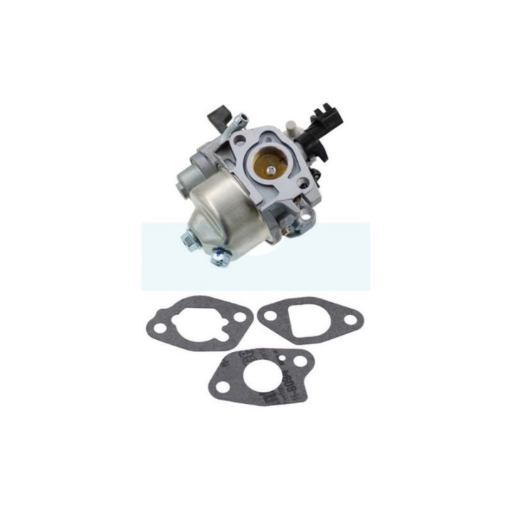 Carburateur pour moteur Briggs & Stratton (595776)