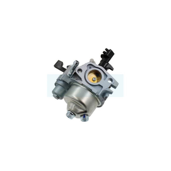 Carburateur pour moteur Briggs & Stratton (595776)