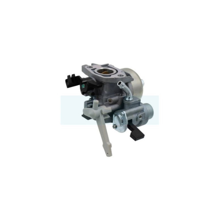 Carburateur pour moteur Briggs & Stratton (595776)