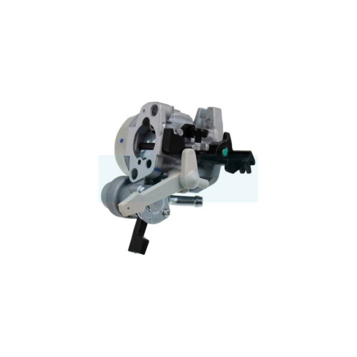 Carburateur pour moteur Briggs & Stratton (595776)