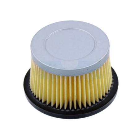 Filtre à air pour moteur Tecumseh (30727)