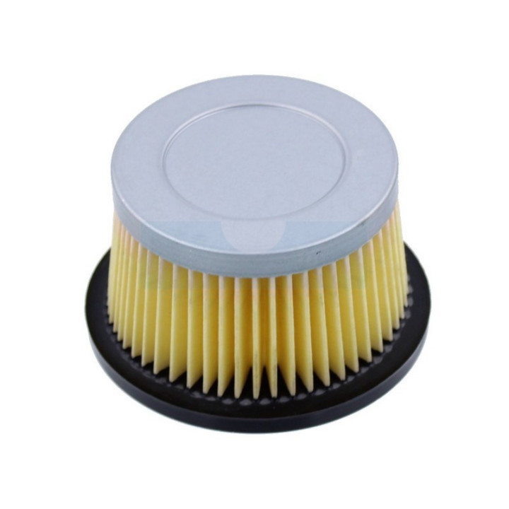 Filtre à air pour moteur Tecumseh (30727)