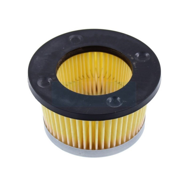 Filtre à air pour moteur Tecumseh (30727)