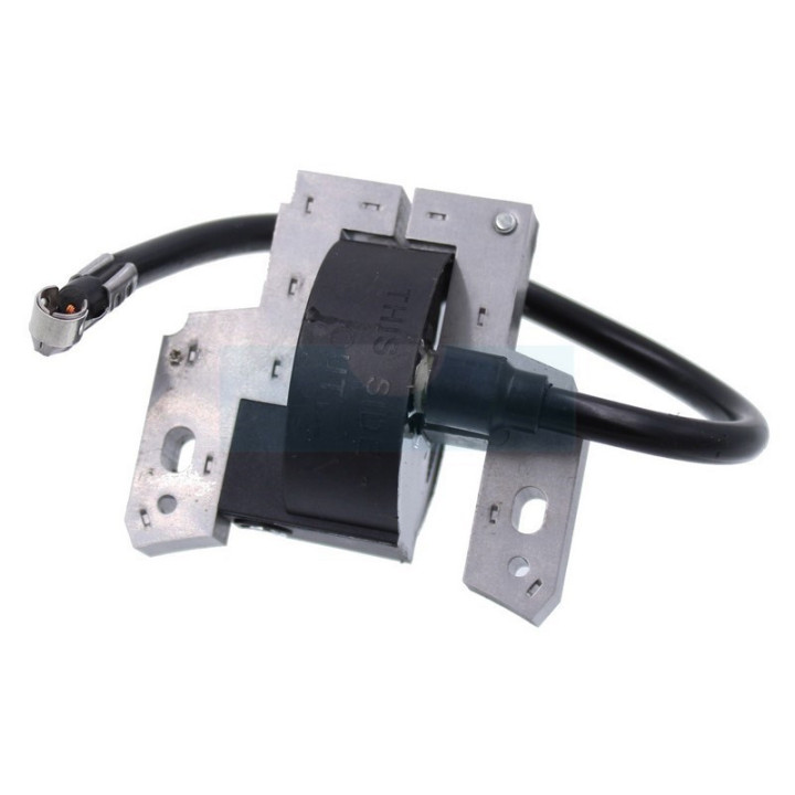Bobine d'allumage électronique pour moteur Briggs & Stratton (298316)