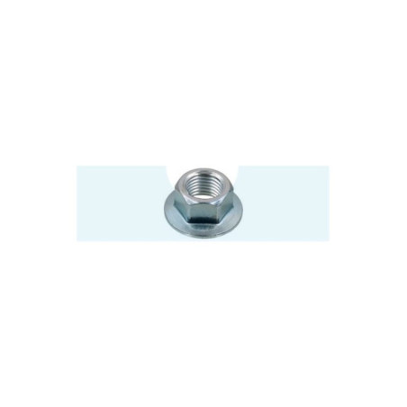 Ecrou de vilebrequin pour moteur / tondeuse Honda (90201-878-003)