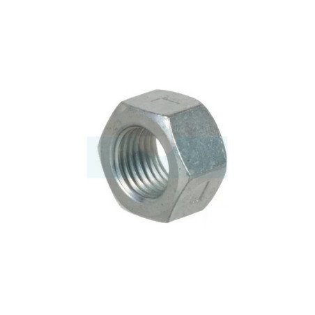 Écrou pour moteur Briggs & Stratton (703458)